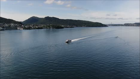 fast passenger, tourist boat arriving to port