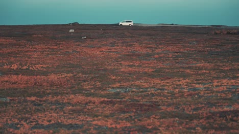 una furgoneta blanca en la vasta extensión de la tundra otoñal
