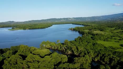 aerial de la selva tropical y el lago con vegetación verde exuberante y manglares