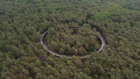 wide shot of fietsen door de bomen at lommel belgie, aerial