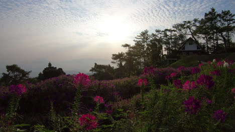 Sonnenaufgang-Im-Huai-Nam-Dang-Nationalpark-In-Thailand