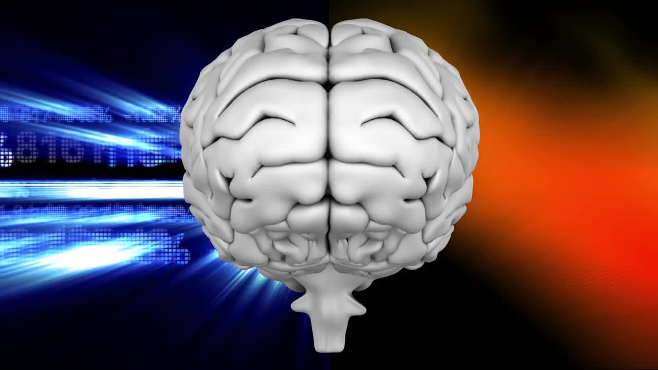 이진 코드와 빛 효과에 대한 뇌의 애니메이션