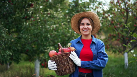 caucasian lady is happy about the harvest of apples collected in the garden. woman in hat holds a full basket of fruit standing in the orchard.