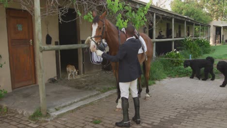 hombre afroamericano listo para montar caballo de doma