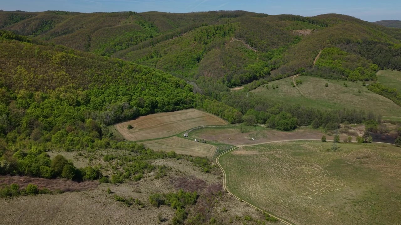 Veduta aerea dall'alto di vivaci colline ondulate e fitte foreste che circondano campi agricoli in una giornata limpida e soleggiata.