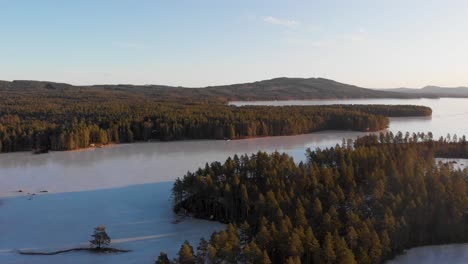 se déplaçant vers la gauche sur le lac couvert de glace busjon à l'extérieur d'applebo à vansbro kommun avec des pins projetant de longues ombres sur une journée d'hiver ensoleillée