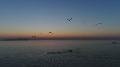 seagulls flying at sunset