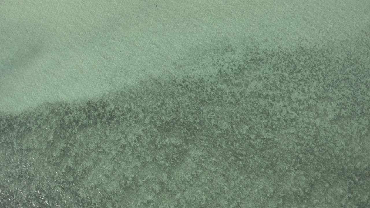 산호초가 있는 맑고 얕은 바닷물 위로 느린 공중 비행