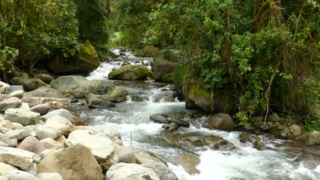 corriente de agua que fluye entre las rocas en la naturaleza intacta
