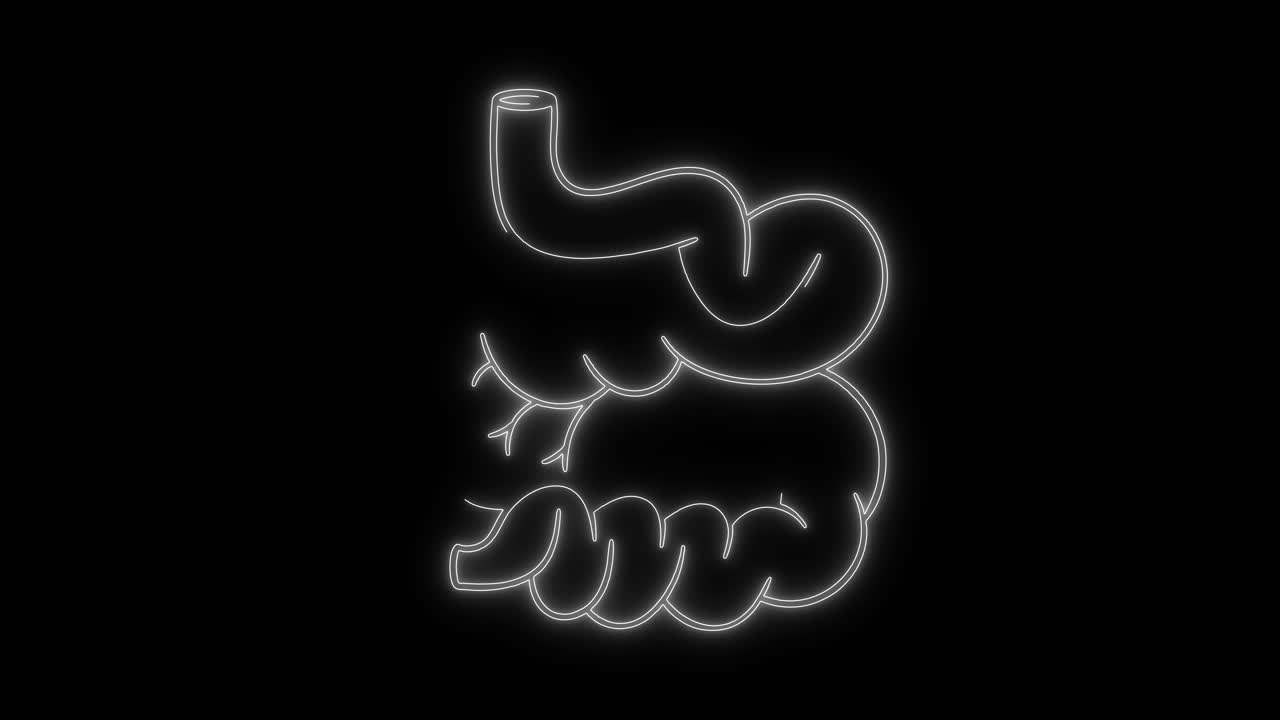 Animated Glowing Outline of Human Small Intestine
