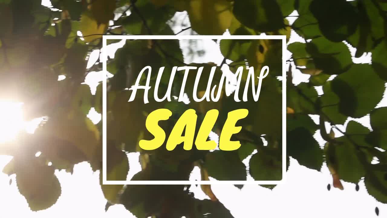 가을 판매 4k의 디지털로 생성 된 비디오