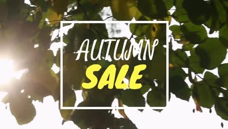 video generado digitalmente de la venta de otoño 4k
