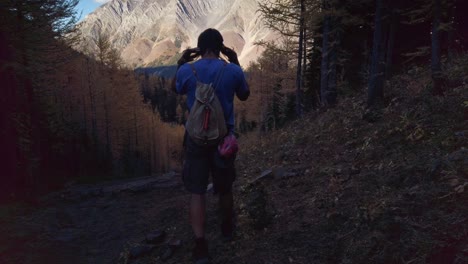 Hiker-walking-down-the-mountain-through-larch-yellow-forest-Kananaskis-Alberta-Canada