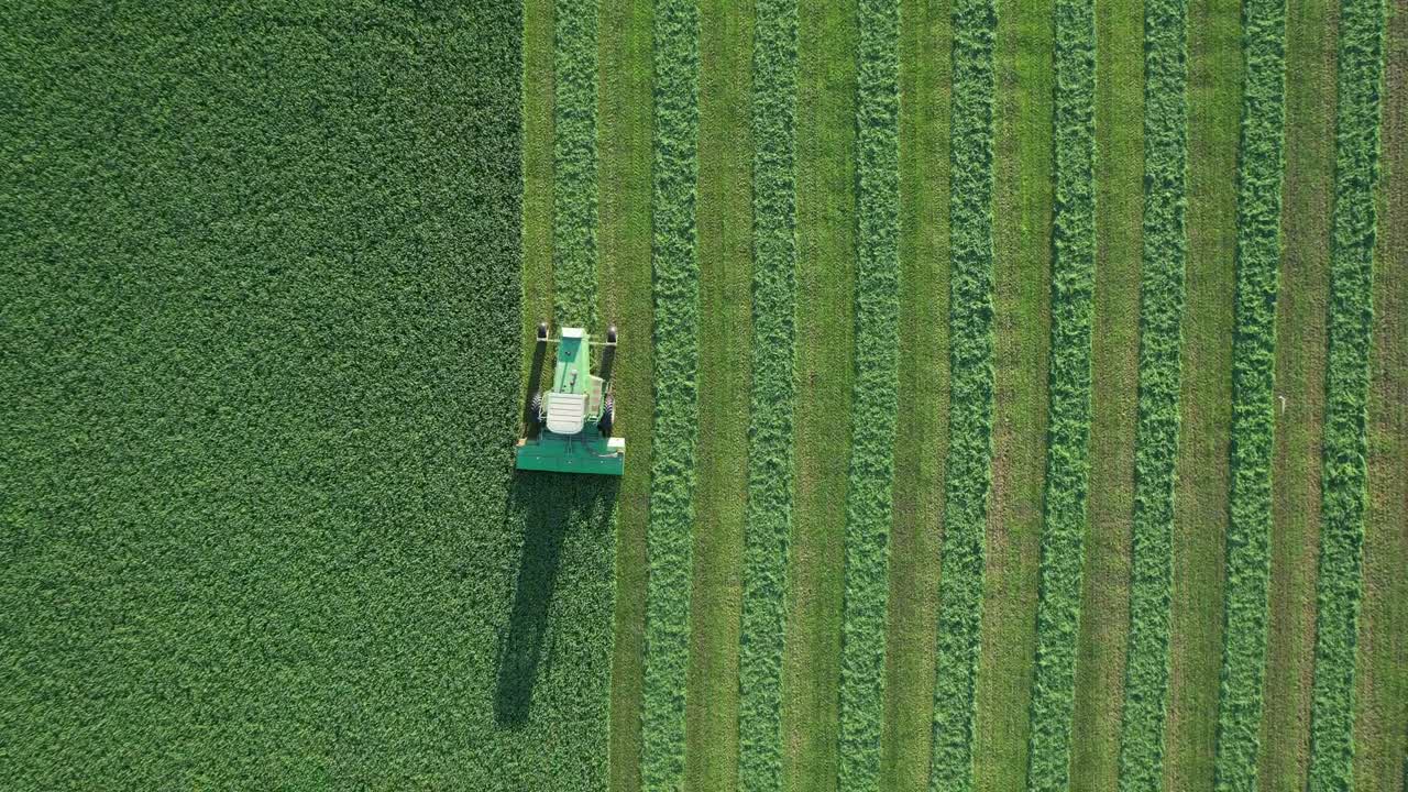 A Door County, Wisconsin, un contadino su un trattore John Deere falcia il suo campo di erba medica a fine agosto-5.