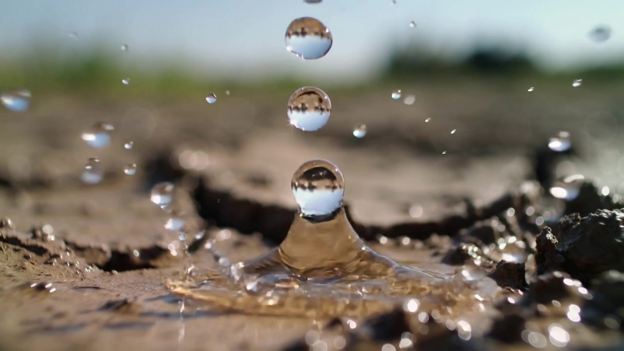 Dripping emitter feeding from thin tubing droplet stretching, falling wetting cracked soil on farm