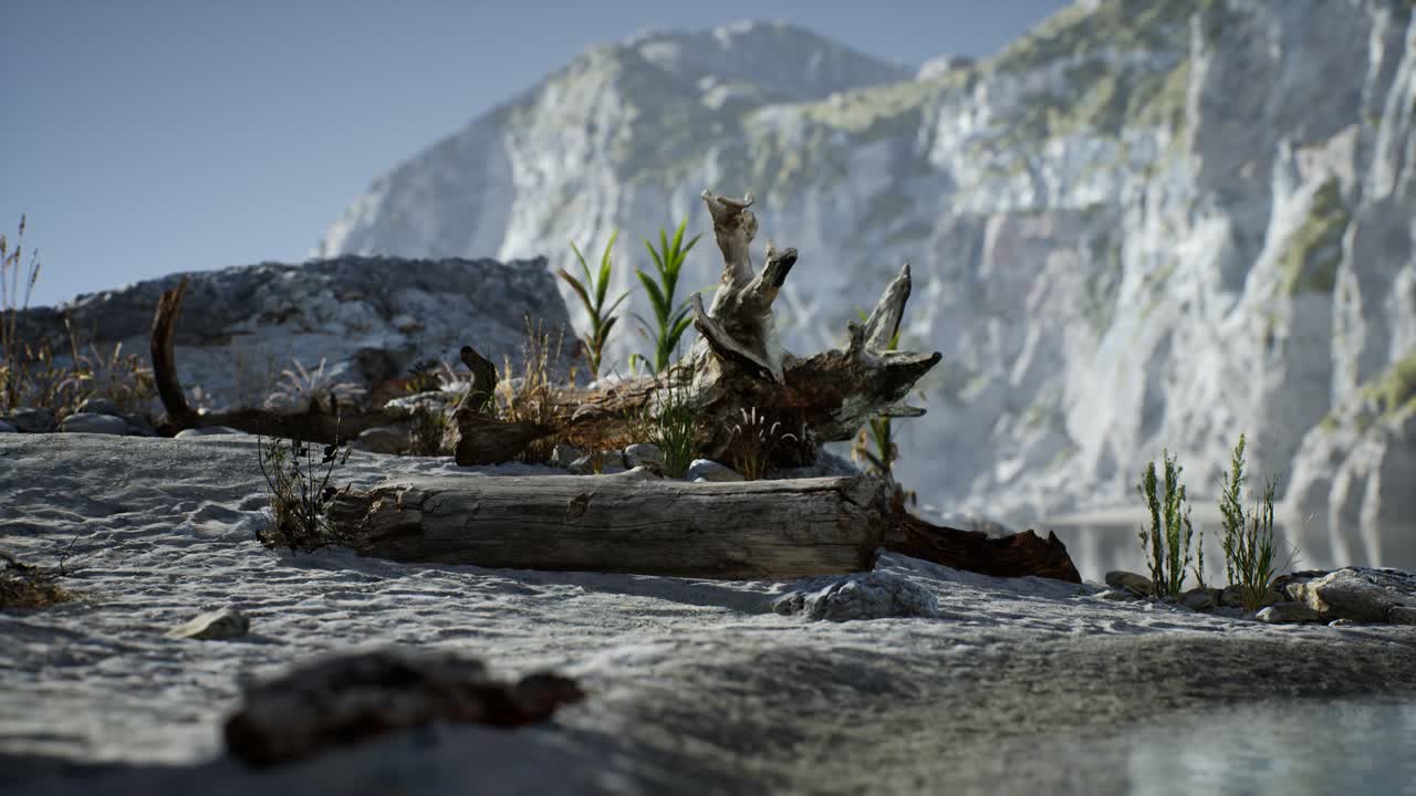 바다 의 바위 절벽 근처 에 있는  ⁇  모래 해변