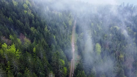 Vista-Aérea-Del-Bosque-De-Montaña-Oscuro-Con-Nubes-Blancas-Malhumoradas-Siguiendo-Un-Sendero-Fangoso-En-Vosges,-Francia-4k