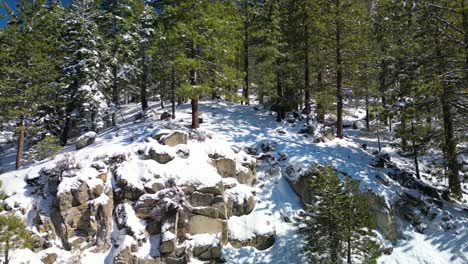 Aerial-view-of-dense-woods-and-large-boulder-cliff