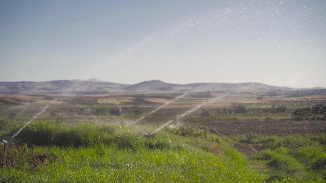 el riego por goteo en la agricultura. cámara lenta.