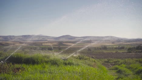 Drip-irrigation-in-agriculture.-Slow-Motion.