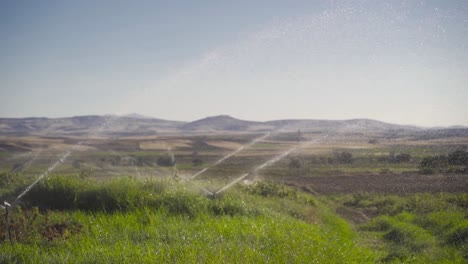 el riego por goteo en la agricultura. cámara lenta.