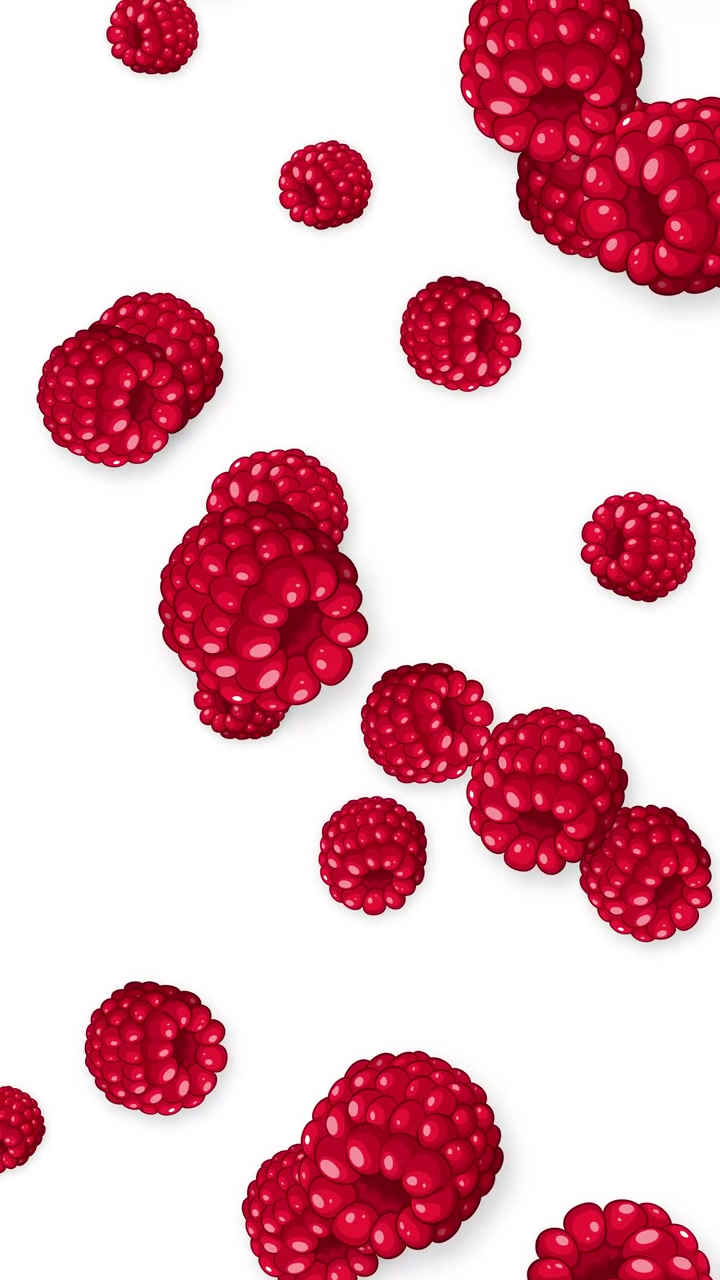 Rote Himbeeren fallen vertikal vor einem schlichten weißen Hintergrund in einer nahtlosen Loop-Animation