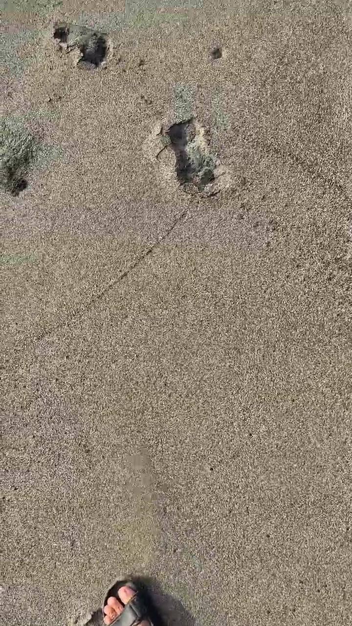 Visuale in prima persona di piedi con sandali che camminano su terreno sabbioso.