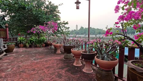 flower pots on terrace overlooking river