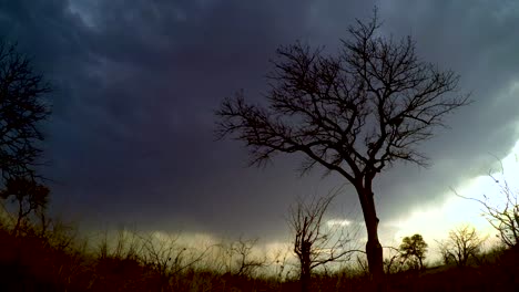 a steady slow motion clip of a large thunderstorm and lighting moving across the savanna of south africa