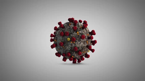 coronavirus 3d model