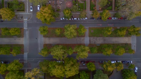 Straße-Mit-Bäumen-Mittelstreifen-Radfahrer-Autos