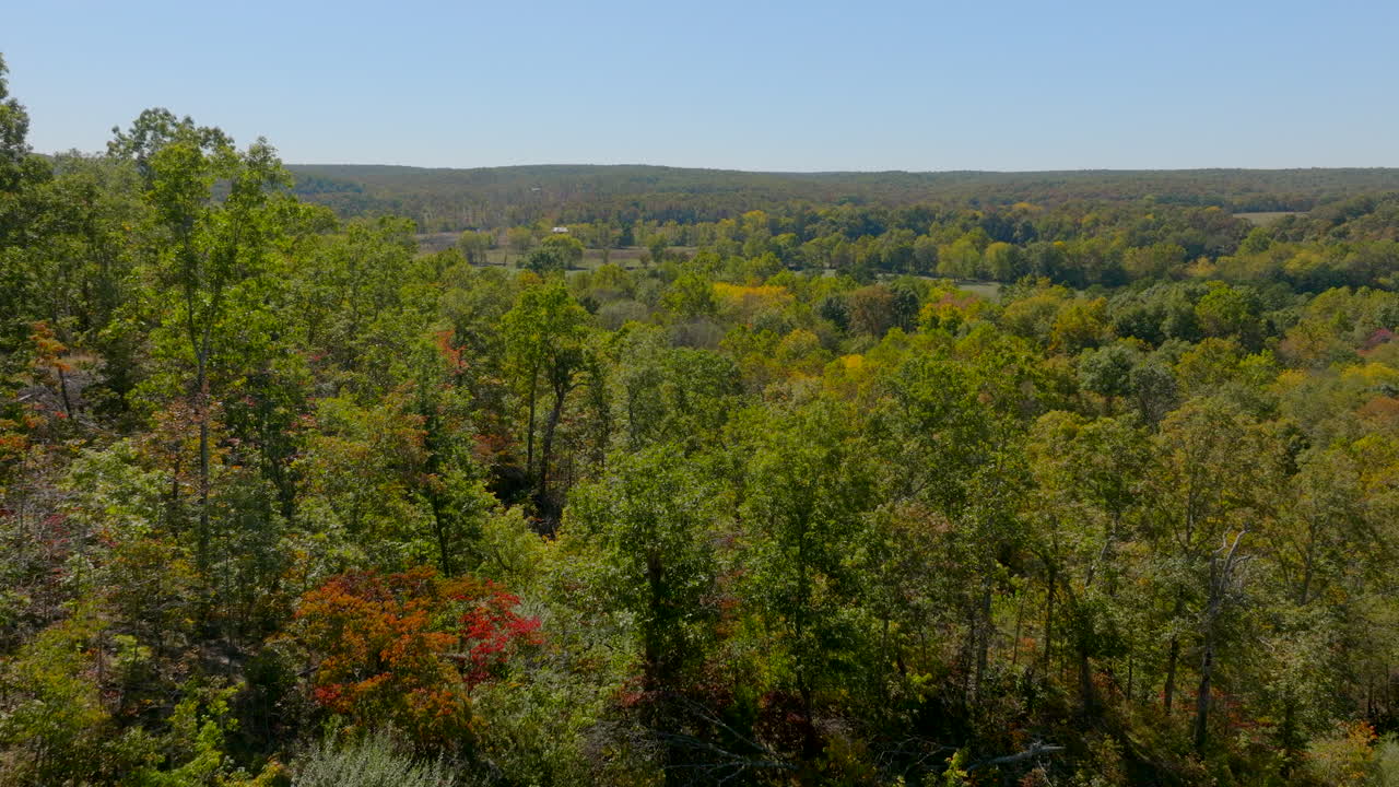 empujar las copas de los árboles en un bosque y un campo con vacas pastando en el país del sur de missouri en un hermoso día de otoño