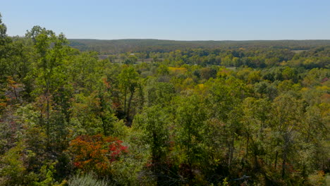 push over tree tops in a forest and a field with cows grazing in the country of southern missouri on a beautiful fall day