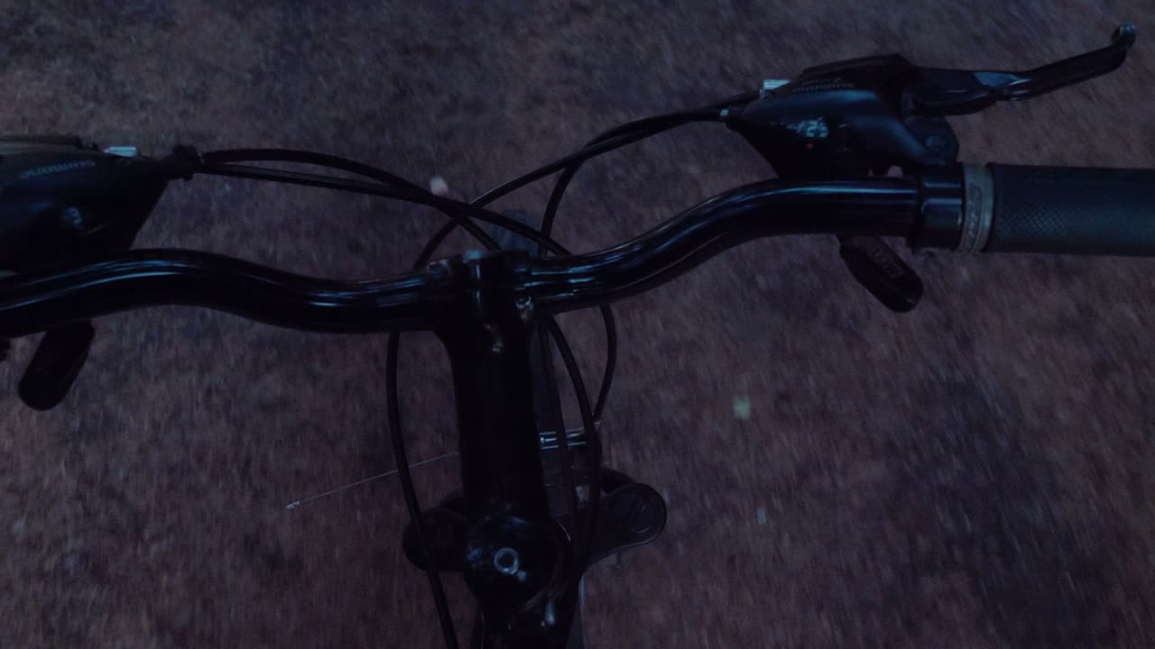 punto de vista mientras se anda en bicicleta por un sendero pavimentado.