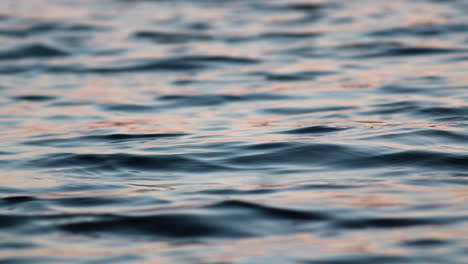 Close-up-of-gentle-waves-on-a-lake-at-sunset