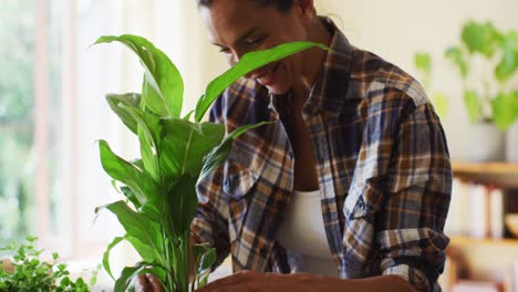 mixed race woman transplanting plants in pot at home