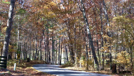 Landstraße-Im-Herbst-Mit-Bäumen