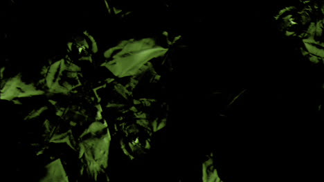 animation of moving and changing green texture and copy space on black background