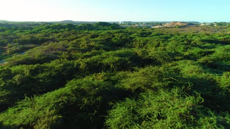 Dolly-above-rolling-hillside-green-shrub-overgrowth,-uncontrolled-vegetation