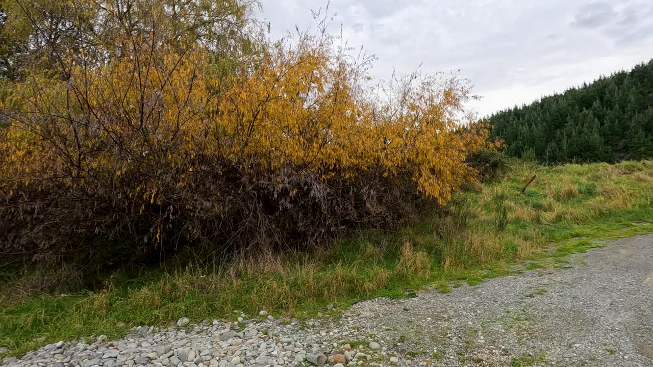 A serene autumn landscape with vibrant foliage and a winding gravel path under overcast skies