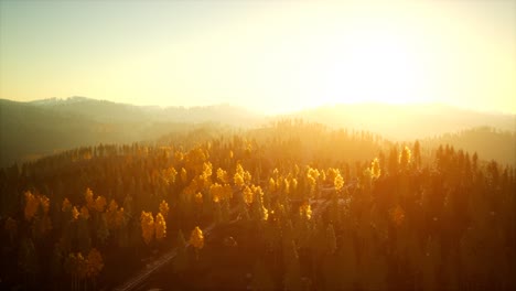 sunlight in spruce forest in the fog on the background of mountains at sunset