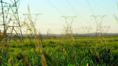 time lapsed of green field on a sunny day 4k