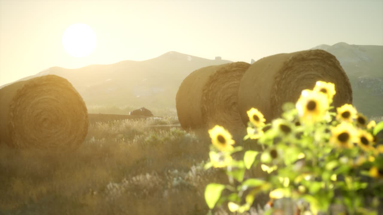 fardos de heno en la puesta de sol