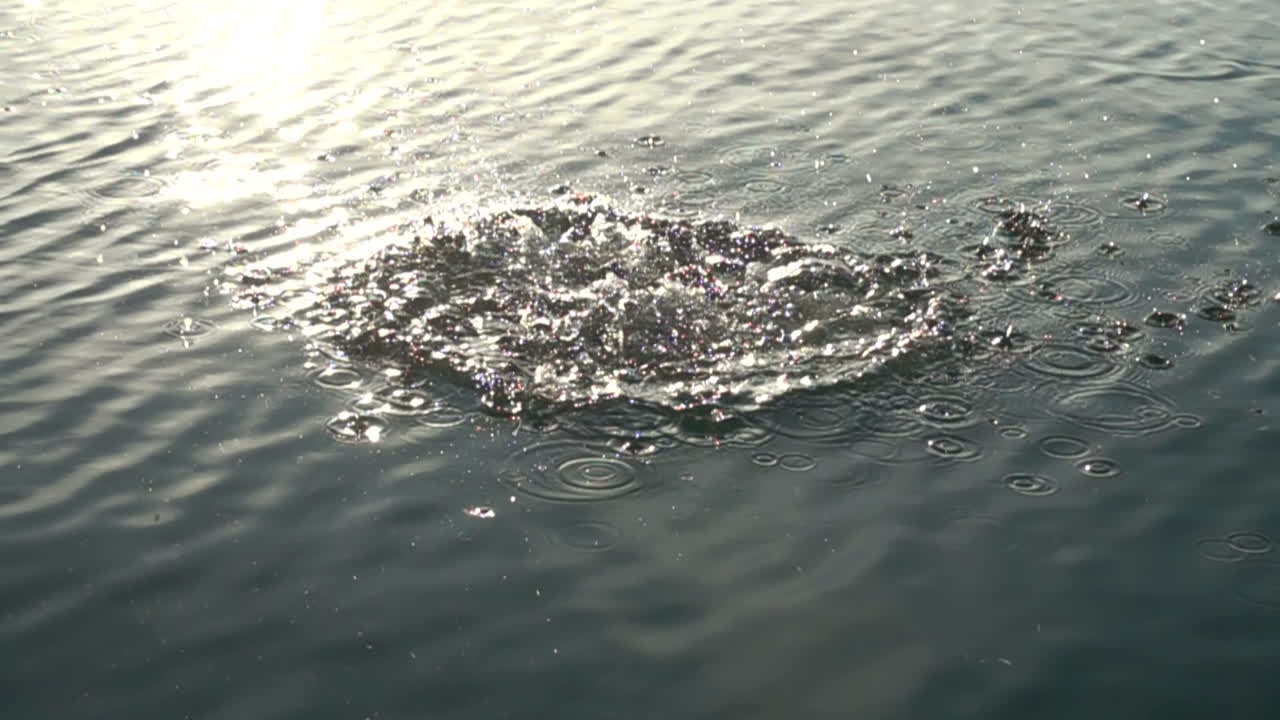 The stone falls in water. Slow Motion