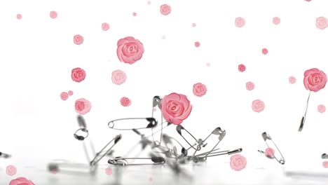 Animation-of-roses-falling-over-safety-pins-on-white-background