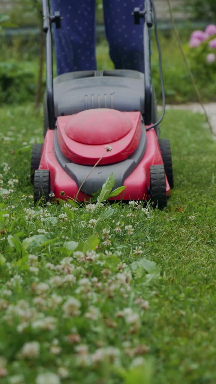 human is controlling the work of lawn mower near the path in the yard in the summer. The lawn mower consistently is mowing grass Vertical video