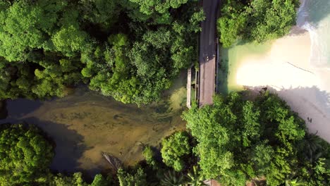 Bird-eye-drone-footage-of-asphalt-road,-passing-vehicles-between-river-and-beach-within-forest,-Mahe,-Seychelles-60fps-1