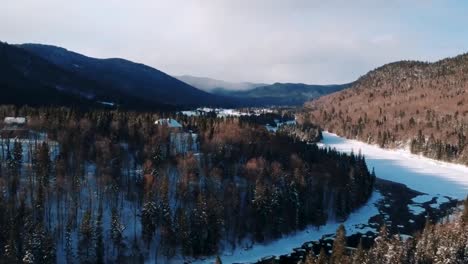 Drone-shot-of-tundra-forest,-snow-covered-pine-tree-forest-in-the-winters