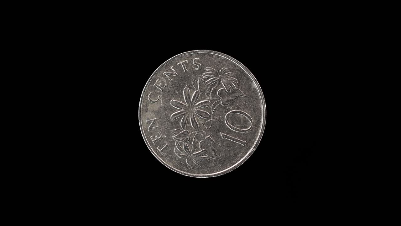 Singapore 10 cent 1989 reverse with star jasmine design macro loop on black background