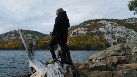 climbing a log in fall tree colours in slow motion, wide handheld pan